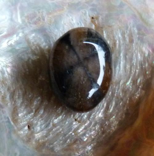 Chiastolit - 2,2 cm - Extra — foto 2