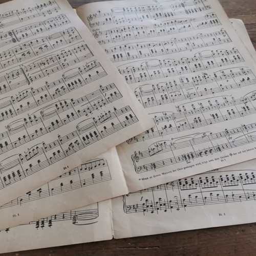 J. Strauss - Na krásném modrém Dunaji — foto 3