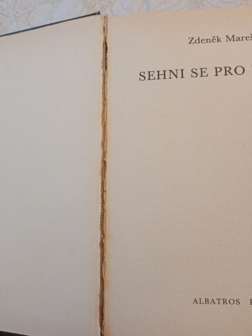 Sehni se pro kámen — foto 3