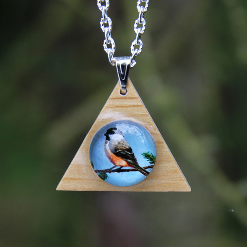 Sýkorka — foto 3