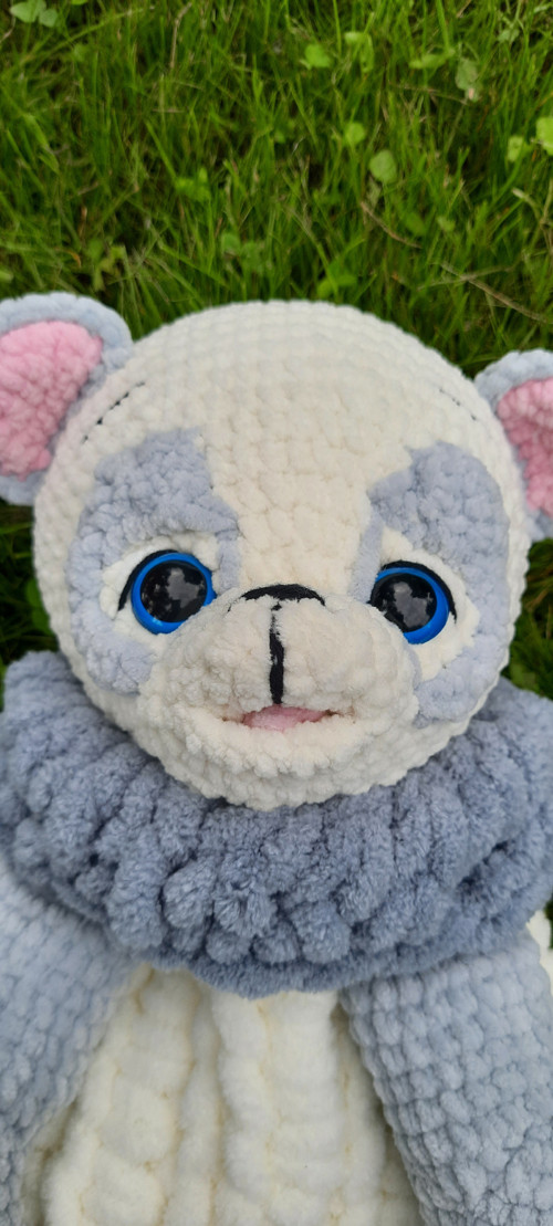 Pyžamkožrout panda — foto 3