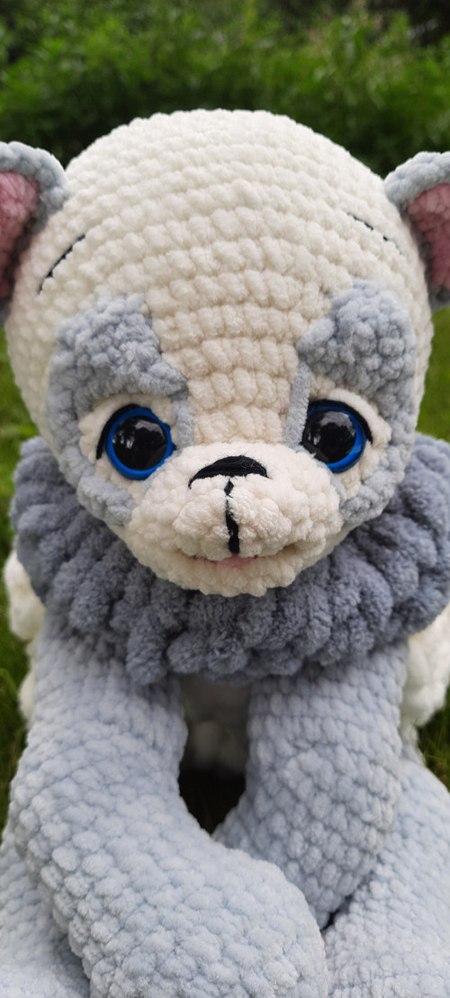 Pyžamkožrout panda — foto 5
