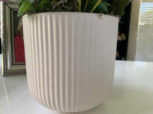 Celoroční dekorace. Kamélie — foto 3