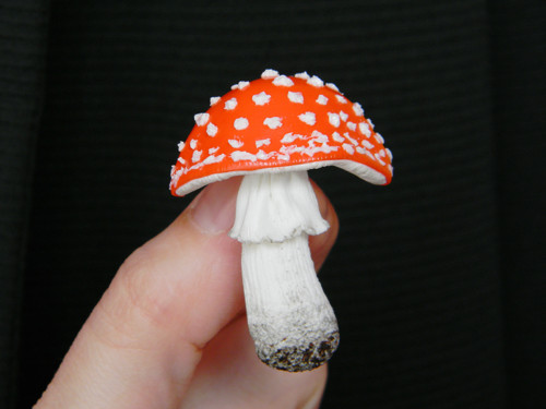 Fly Agaric — foto 4
