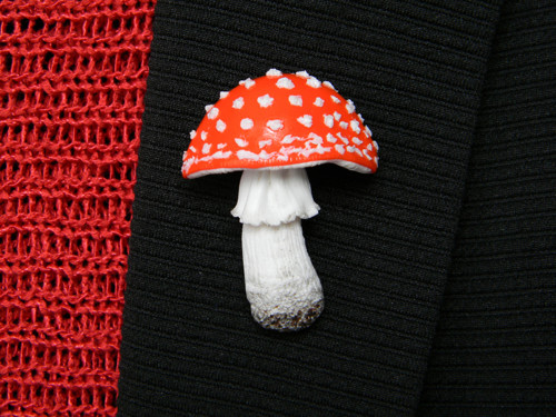 Fly Agaric — foto 2