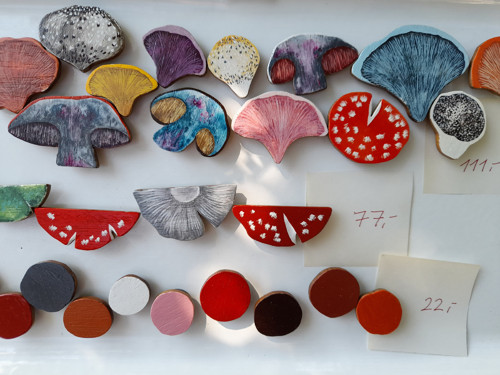 Krajené houby - magnety — foto 3