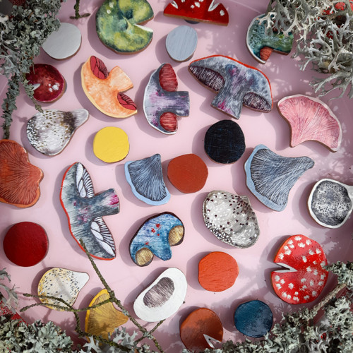 Krajené houby - magnety — foto 2