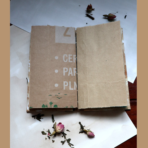 Recydeník - fialový strom — foto 2