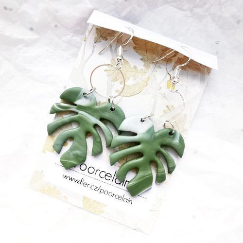 Monstera ... — foto 2