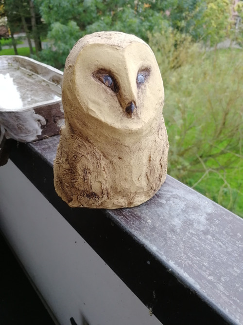 Sova světlá — foto 2