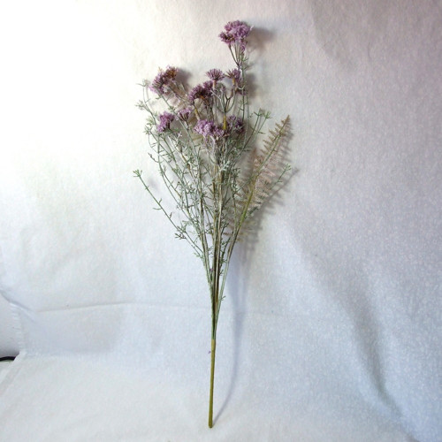 Pcháč fialový — foto 2