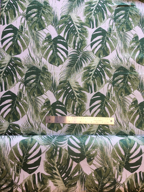 Monstera — foto 2