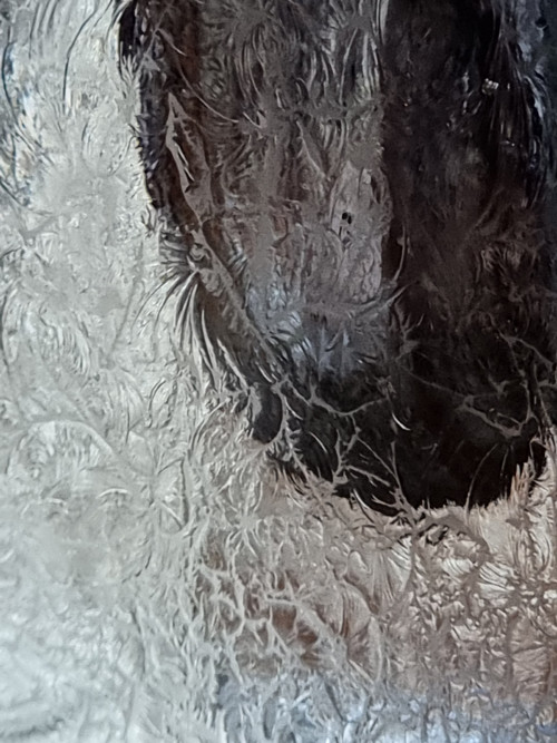 Svítící váza - šedočerná — foto 5