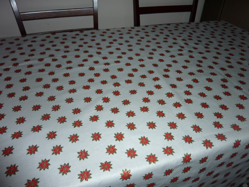 Velký s poinsettií — foto 3