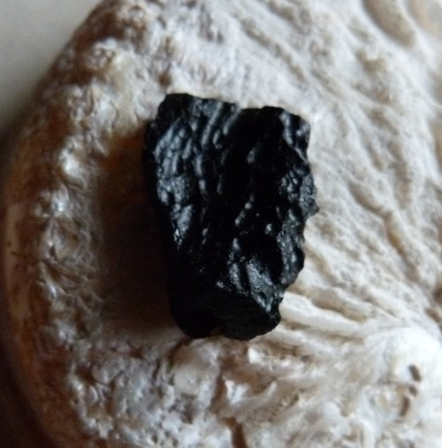 Tektit - 2,7 cm — foto 6