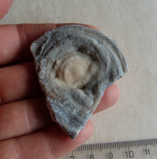 Chalcedon hadí oko - 5,7 cm — foto 2