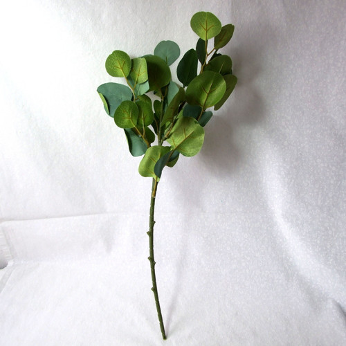 Eukalyptus s textilními listy — foto 2