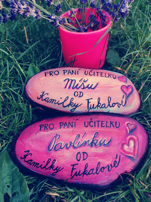 Berušky okaté — foto 3