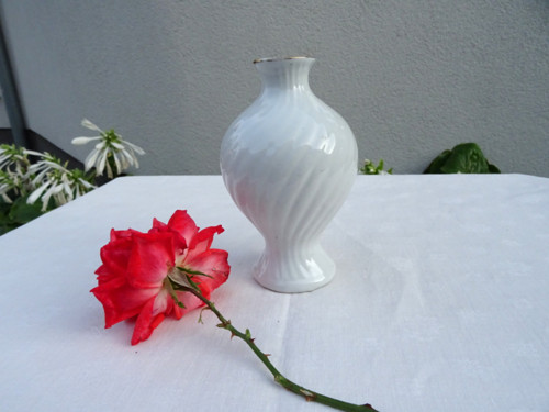 Macešky - vázička — foto 3