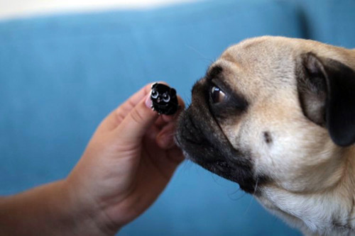 Pin Pug – černý — foto 4
