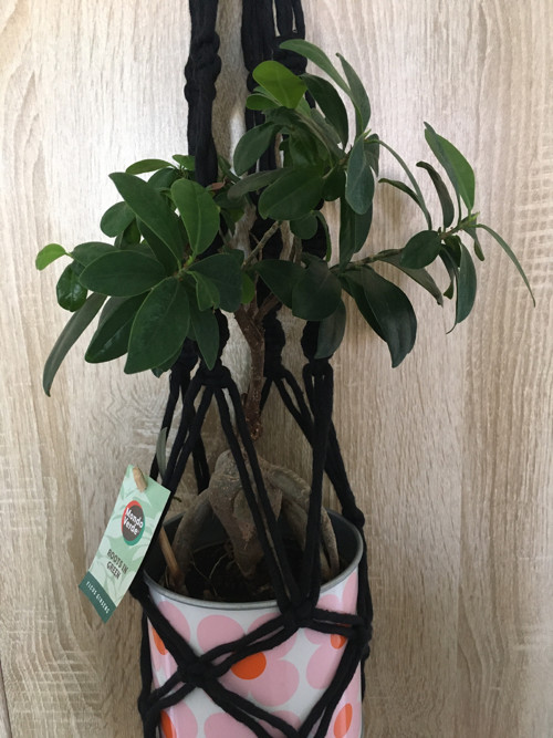 Macramé plant hanger — foto 6