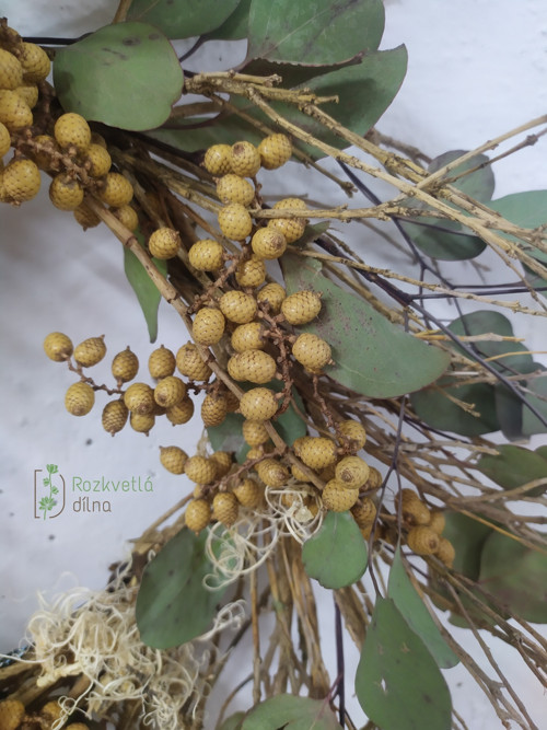Buxus s eukalyptem – závěsný věnec — foto 3