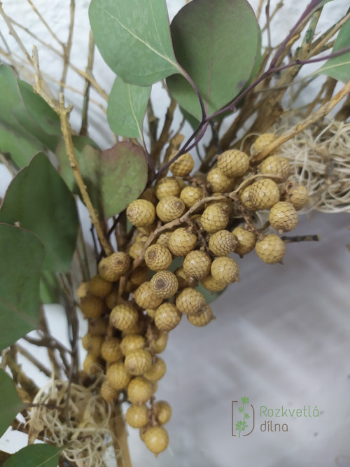 Buxus s eukalyptem – závěsný věnec — foto 4