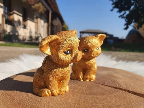 Zlaté prasátko — foto 2