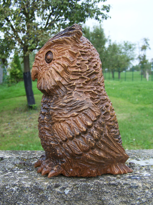 Dřevěná sova — foto 2