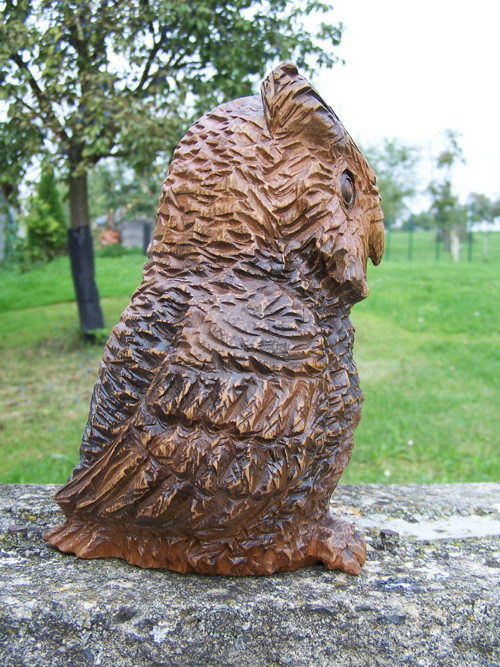 Dřevěná sova — foto 4