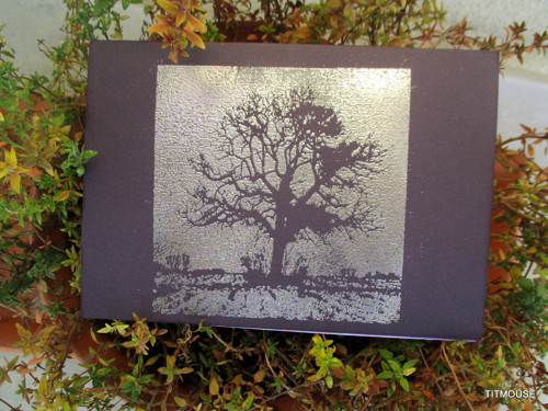 Remember me - kondolence — foto 2