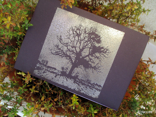 Remember me - kondolence — foto 3