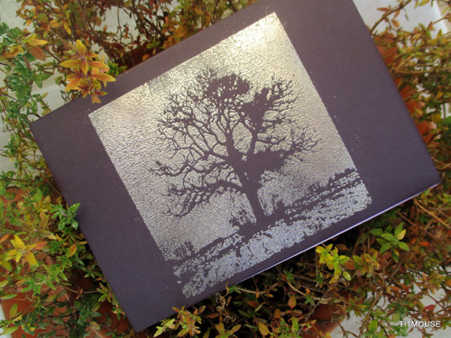 Remember me - kondolence — foto 4