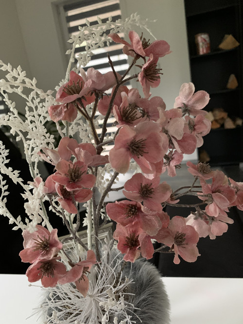 Ojíněná sakura v kožíšku — foto 3