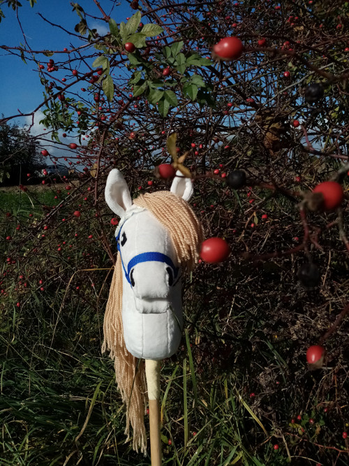 Koník Hobby Horse Coco — foto 5