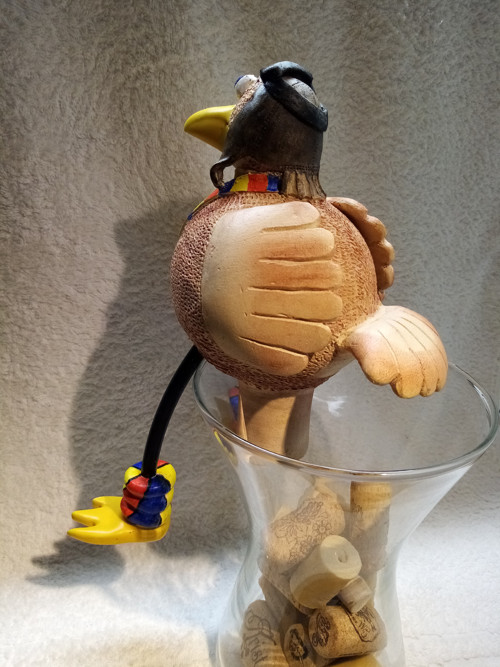 Pták pilot — foto 2