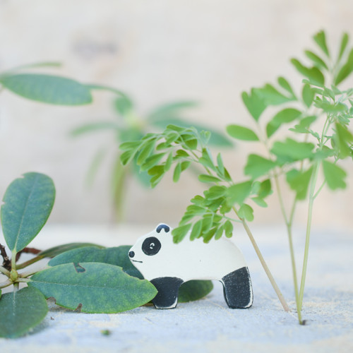 Panda — foto 2