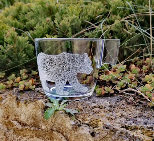 Medvěd — foto 2