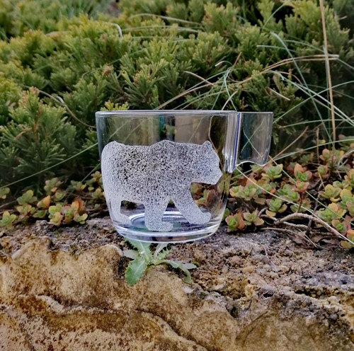 Medvěd — foto 3