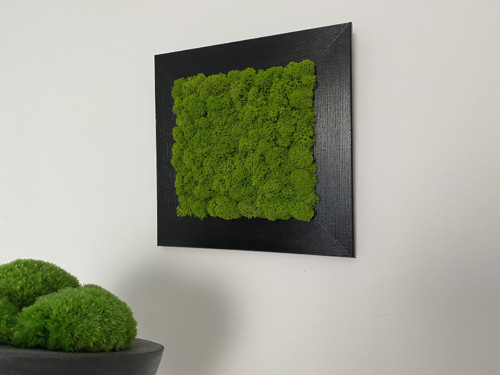 Mechový obraz 23x23cm — foto 5