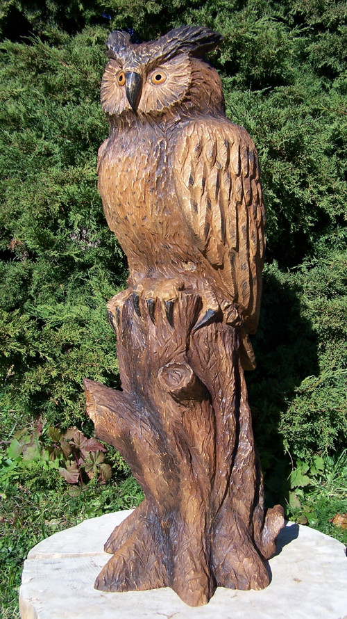 Dřevěná sova, výr — foto 2