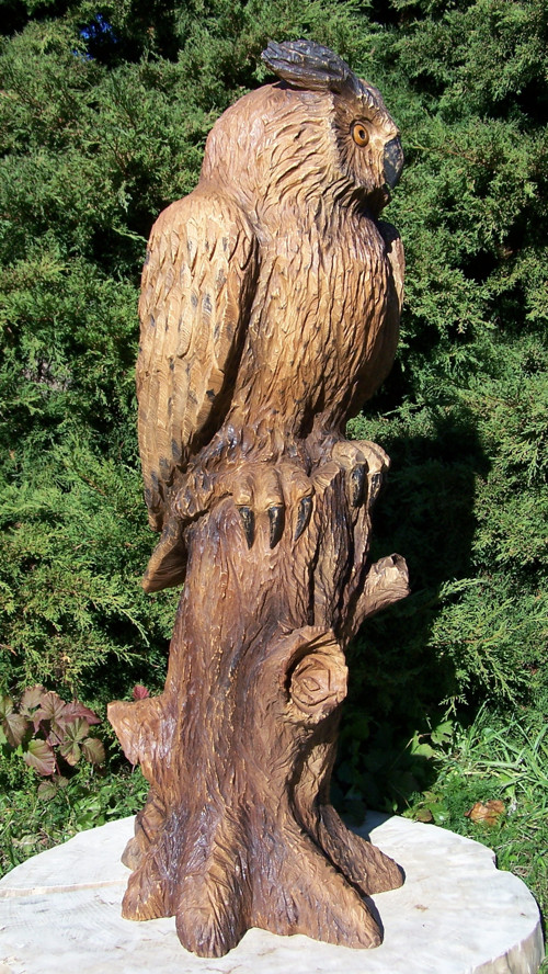 Dřevěná sova, výr — foto 5