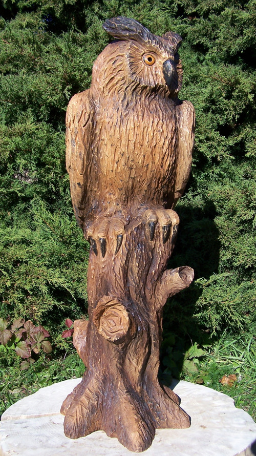 Dřevěná sova, výr — foto 4