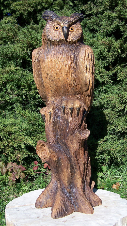 Dřevěná sova, výr — foto 3