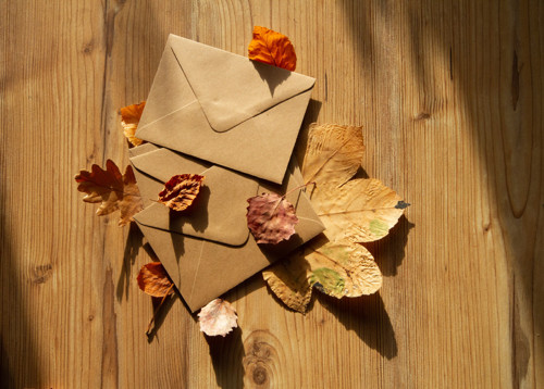 Přání "Ptáci na drátě" — foto 3