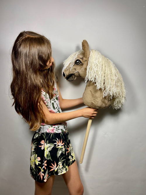 Pro milovnice HOBBY HORSE — foto 2