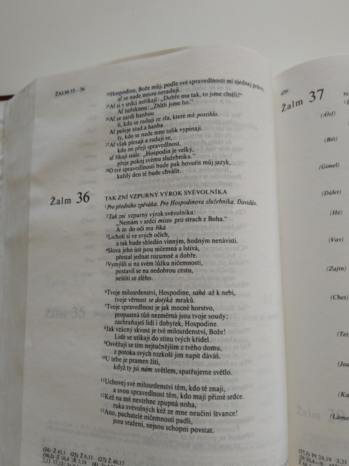 Bible — foto 4