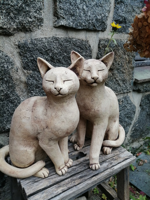 Kočka (ihned k dispozici) — foto 3
