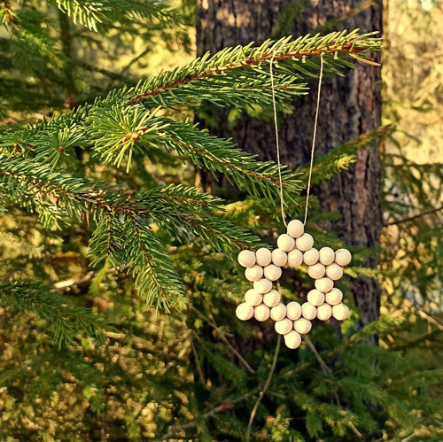 Hvězdička No. 1 — foto 3