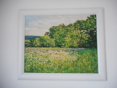 Letní louka — foto 2